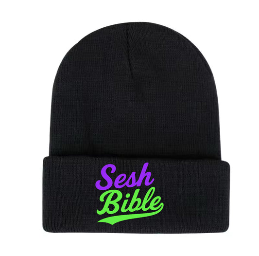 TSB Essentials : Purple & Green Beanie